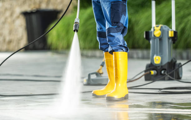 Best Roof Pressure Washing  in Moss Point, MS