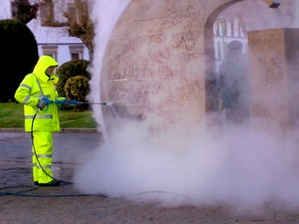 Best Fence Pressure Washing  in Moss Point, MS