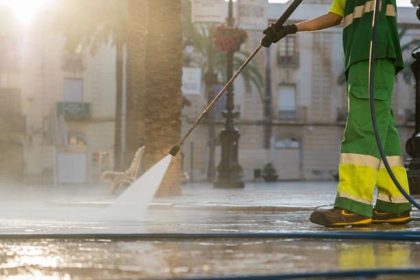Best Roof Power Washing Services  in Moss Point, MS