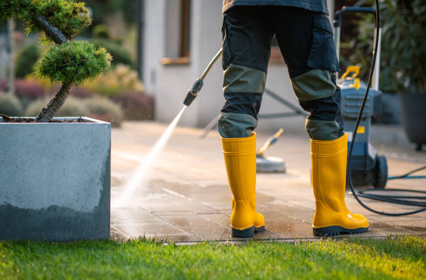 Best Pressure Washing Company Near Me  in Moss Point, MS
